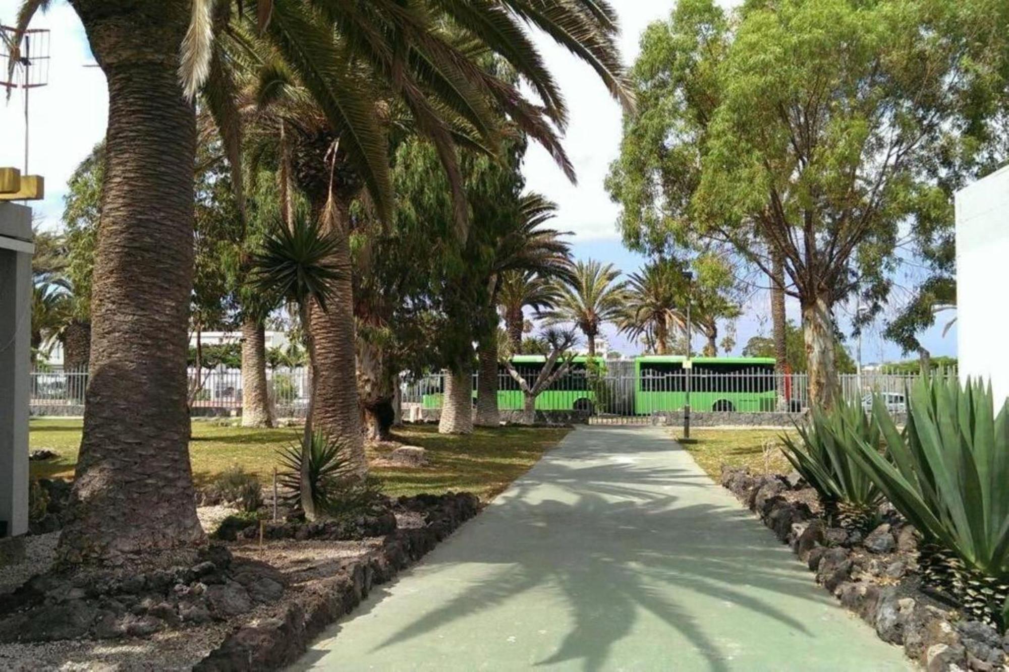 Papagayo Beach Apartments Arona  Kültér fotó