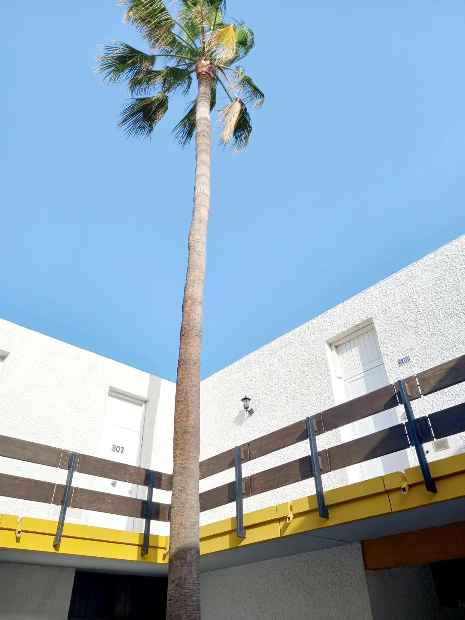 Papagayo Beach Apartments Arona  Kültér fotó